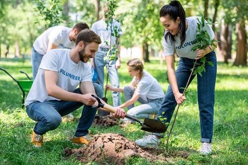 Iniciativas-Azities-2030-3-reforestacion