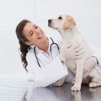 descarga-app-galeria-06-veterinarios